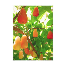 Berg Apple Sträckta Canvas Tryck