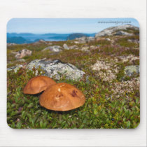Berg landskap fotomousepad. Norge