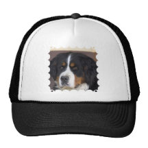 Berner Sennenhund baseballhatt Keps