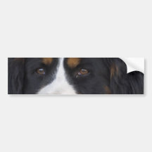 Berner Sennenhund bildekal