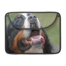 Berner Sennenhund hund 13" MacBook sleeve Sleeves För MacBook Pro