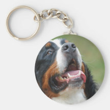 Berner Sennenhund hund Keychain Nyckel Ringar