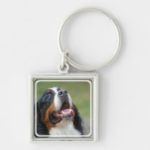 Berner Sennenhund hund Keychain Nyckelring