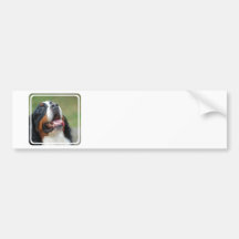 Berner Sennenhund hundbildekal