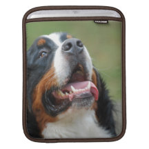 Berner Sennenhund hundipad sleeve