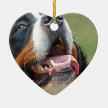 Berner Sennenhund hundprydnad Julgransdekoration