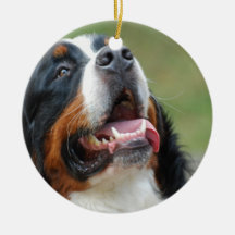 Berner Sennenhund hundprydnad Julgranskula