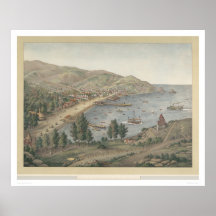 Beskåda av den Avalon hamnen, den Santa Catalina ö Posters