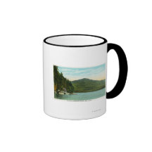 Beskåda av det Whiteface berg från älgön Kaffe Koppar