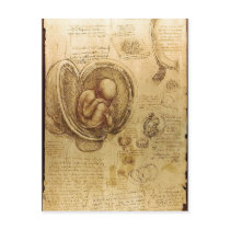 Beskrivningsstudier av embryon Leonardo Da Vinci ( Vykort