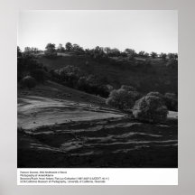 Beta platsen av Ansel Adams Affisch