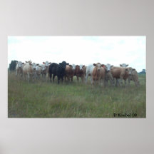 Betande råd posters