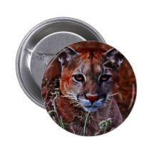 Betrodd puma knappar med nål