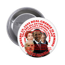 bevaka vår konstitution pins