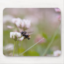 Bi som pollinerar klöver musmattor