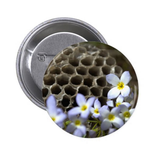 Bibikupahårkam och blommor knappar