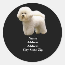Bichon adressetikett klistermärken