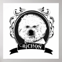 BICHON-FRISE (4) AFFISCHER
