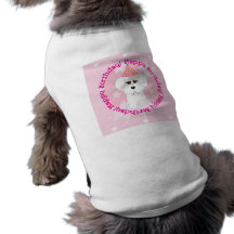 Bichon Frise grattis på födelsedagenhund tröja