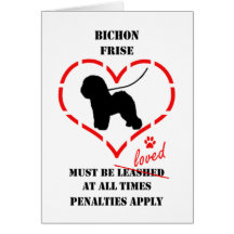 Bichon Frise måste älskas Kort