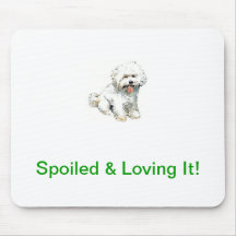 Bichon Frise Mus Mattor