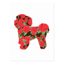 Bichon Frise Vykort