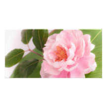big pink flower photocarte personnalisée