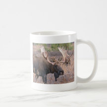 Bigbull älg kaffe muggar