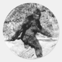Bigfoot Runda Klistermärken