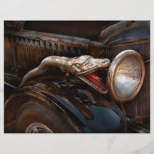 Bil - Steamer - ormcharmör Custom Flyer