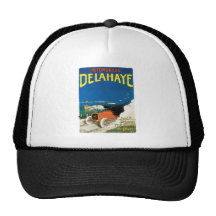 Bilar Delahaye Mesh Kepsar