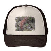 Bild av minken baseball hat
