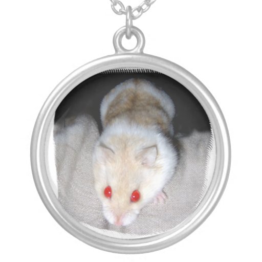 Bild för vit- och blondinalbinohamster personliga halsband