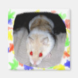 Bild för vit- och blondinalbinohamster kylskåps magneter