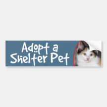 Bildekal/dekal för Calicoskyddkattunge