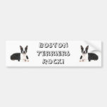 Bildekal för Boston Terrierssten