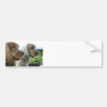 Bildekal för engelskacockerspanielSpaniel