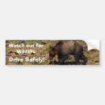 Bildekal för supporter för djurliv för GRizzlybjör
