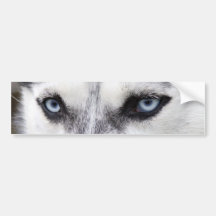 BILDEKALHUSKY