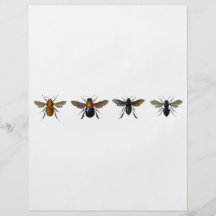 Bin Flygblad Designs