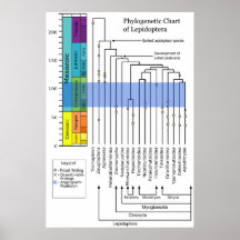 Biologiska Phylogenetic kartlägger av Lepidopteras Affisch