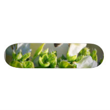 BiPollenating basilika Skate Boards