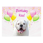 Birthday Kiss Post Card
