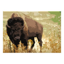 Bison-/buffelinbjudan