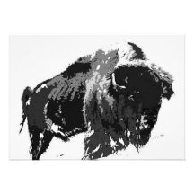 Bison-/buffelinbjudan - buffelinbjudan