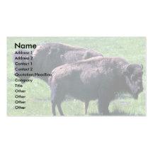 Bison för amerikan två visitkort mallar