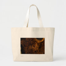 Bison Tygkassar