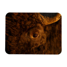 bisonansikte rektangel magnet