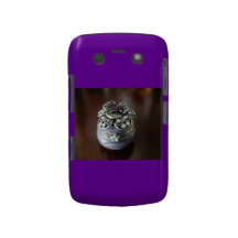 Björnbär i lilor blackberry fodral