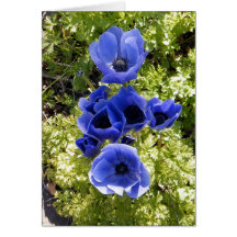 Blåa blommor kort
